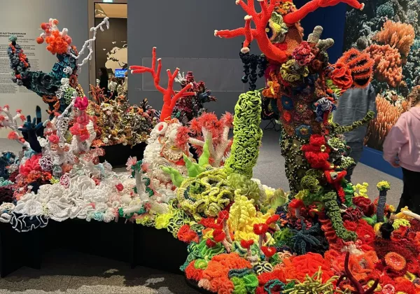 gehäkelte Korallen in der Ausstellung